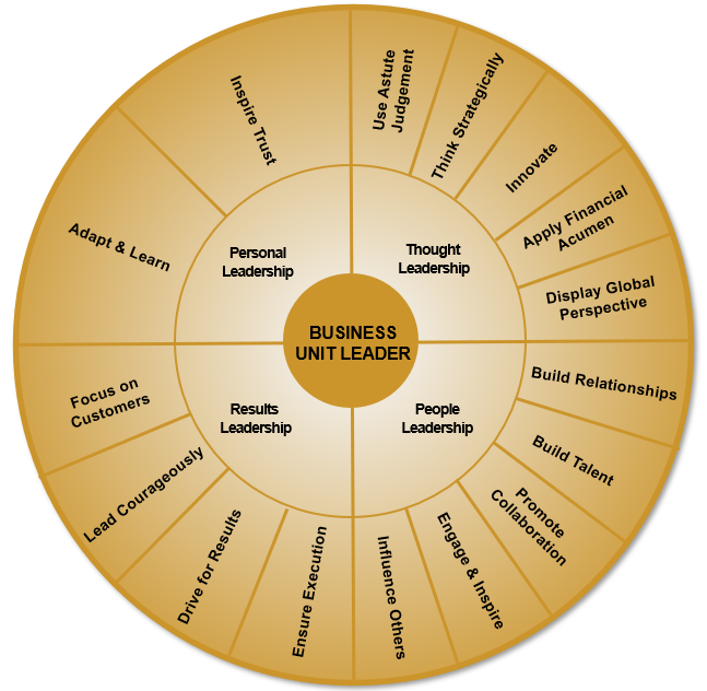 Business Unit Leader Assessment