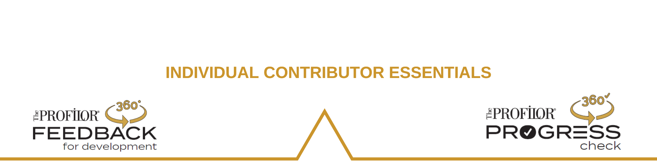 INDIVIDUAL CONTRIBUTOR ESSENTIALS