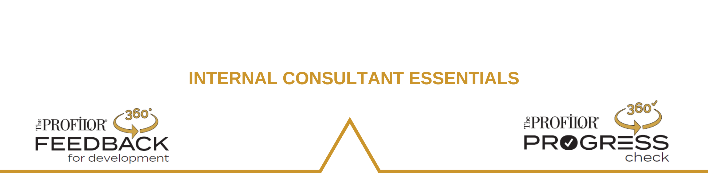 INTERNAL CONSULTANT ESSENTIALS INTERNAL CONSULTANT ESSENTIALS
