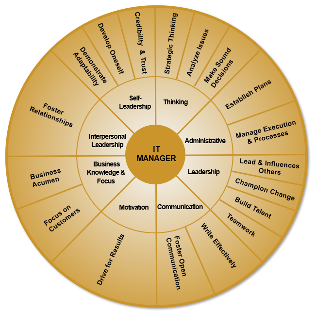 IT Manager Assessment