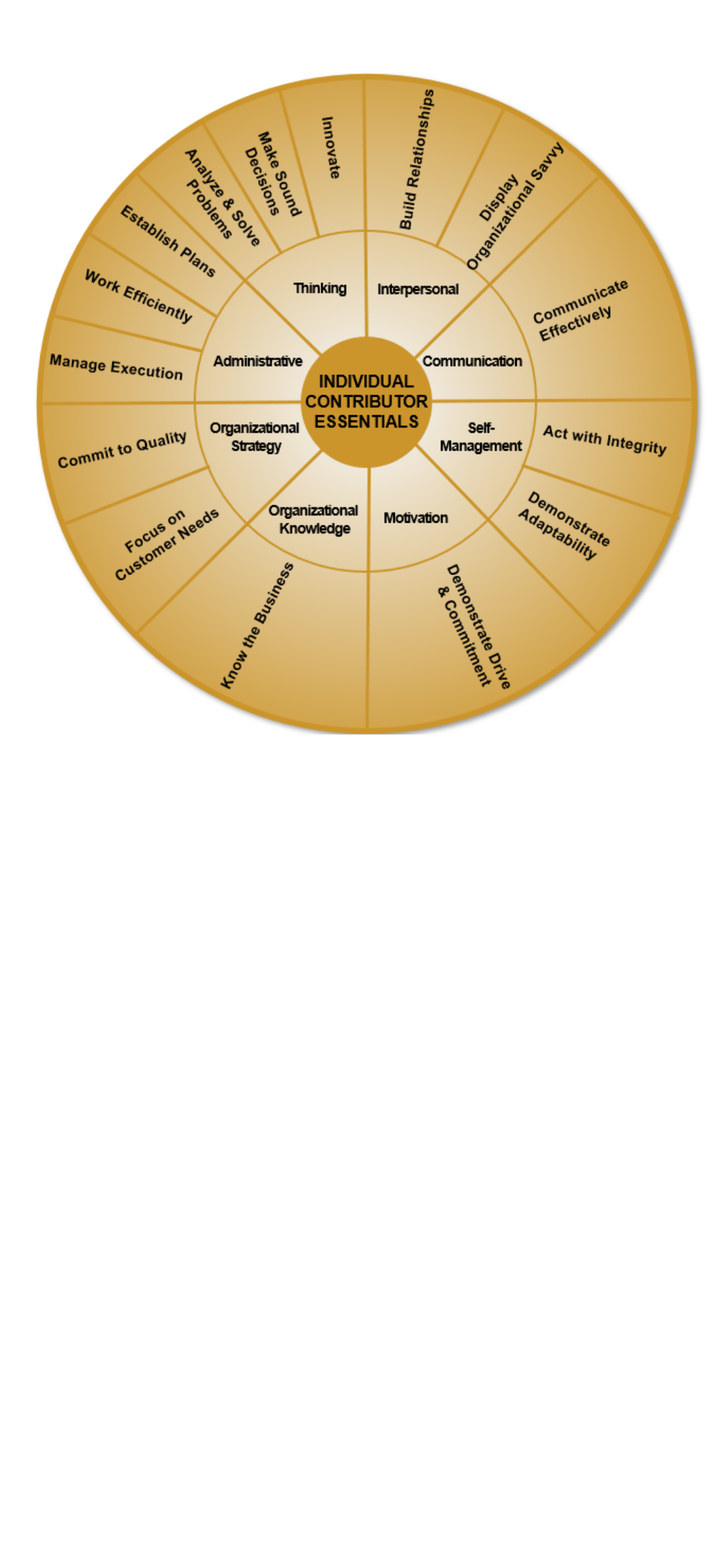 Individual Contributor Assessment