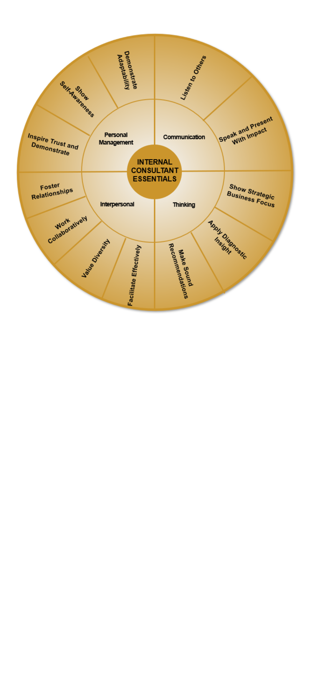 Internal Consultant Assessment