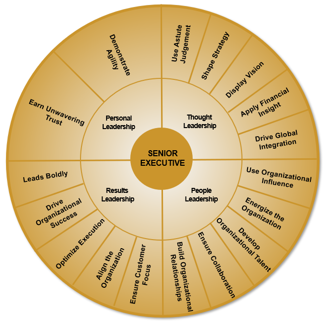 Senior Executive Model Assessment