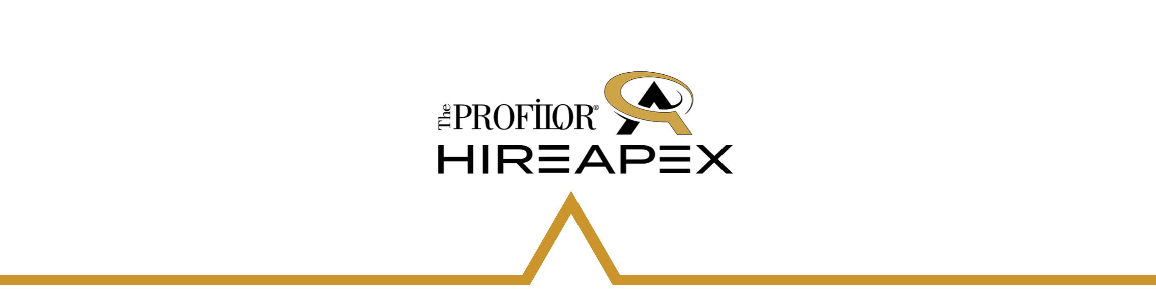 Hireapex (6)