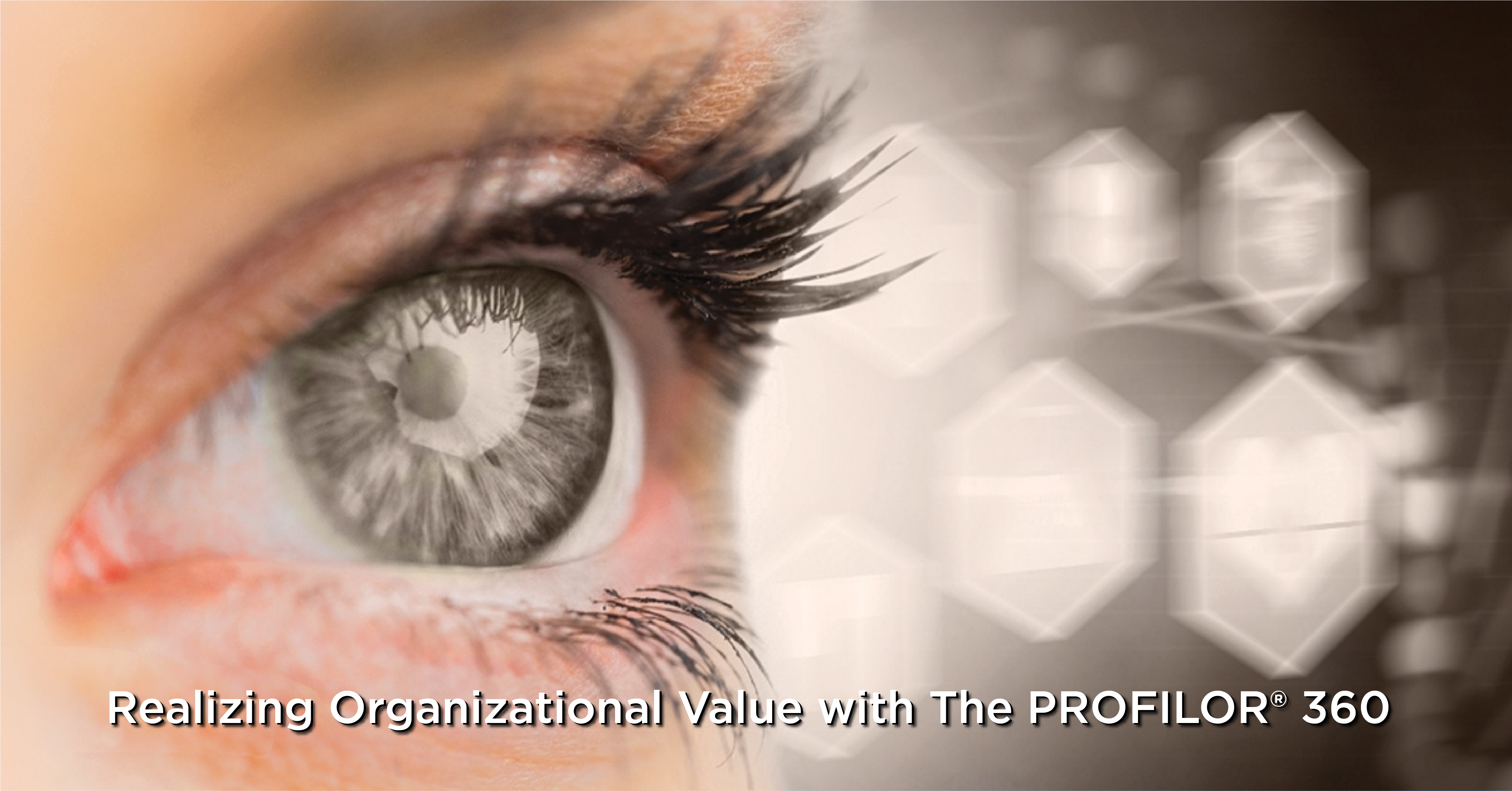 The PROFILOR® insight pic