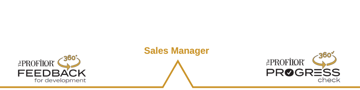 Sales Manager Assessment Model
